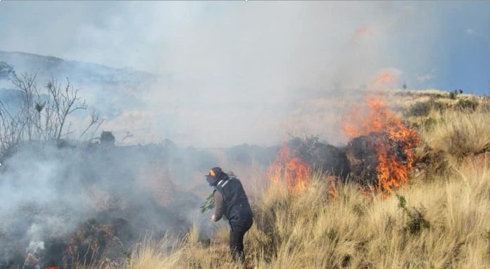 17 DE 112 MUNICIPALIDADES DEL CUSCO ENTREGARON SUS PLANES DE CONTINGENCIA PARA PREVENIR INCENDIOS FORESTALES