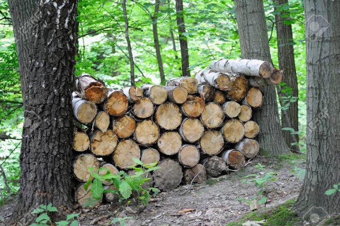 AGRO RURAL FOMENTA USO DE MADERA DE PLANTACIONES FORESTALES EN CONSTRUCCIÓN DE COBERTIZOS Y FITOTOLDOS