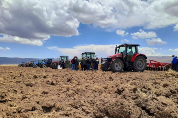 AGRO RURAL IMPULSARÁ PRODUCCIÓN GANADERA CON INSTALACIÓN DE MÁS DE 128,000 HECTÁREAS DE PASTOS, EN 23 DEPARTAMENTOS BENEFICIANDO A MÁS DE 99,000 PRODUCTORES