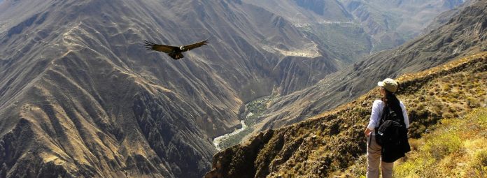 CAÑÓN DEL COLCA EN CONCURSO PARA SER NOMINADO COMO “MEJOR ATRACCIÓN TURÍSTICA NATURAL DEL MUNDO”