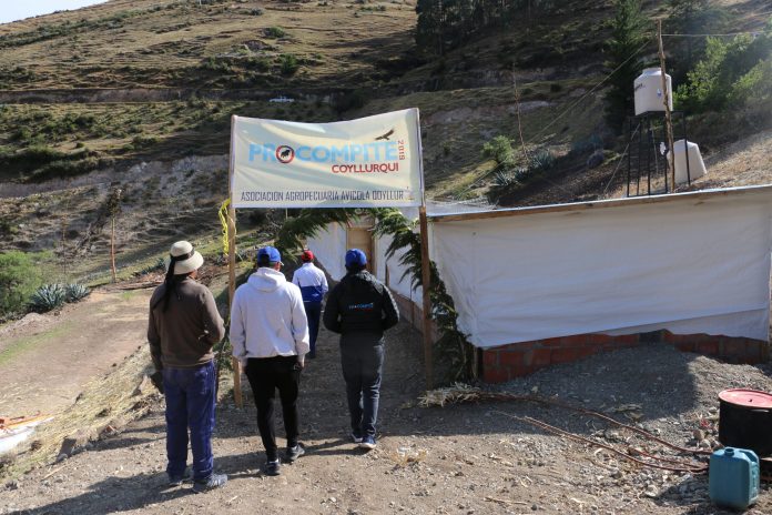 Familias asociadas incursionan en crianza de pollos con fondos concursables de Procompite