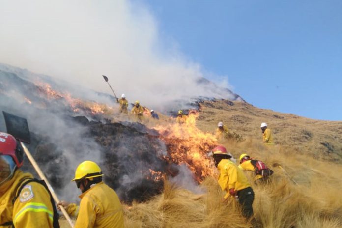 INCENDIO FORESTAL EN QUISPICANCHI ARRASA 100 HECTÁREAS DE PASTIZALES Y DEJA 8 VÍCTIMAS MORTALES