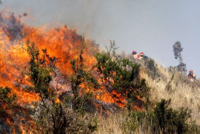 MINISTERIO DEL AMBIENTE ADVIERTE QUE LOS INCENDIOS FORESTALES AFECTAN LA SOSTENIBILIDAD AMBIENTAL DEL PAÍS